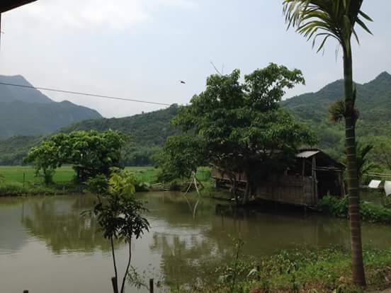 Linh Soi Homestay Mai Chau Eksteriør billede