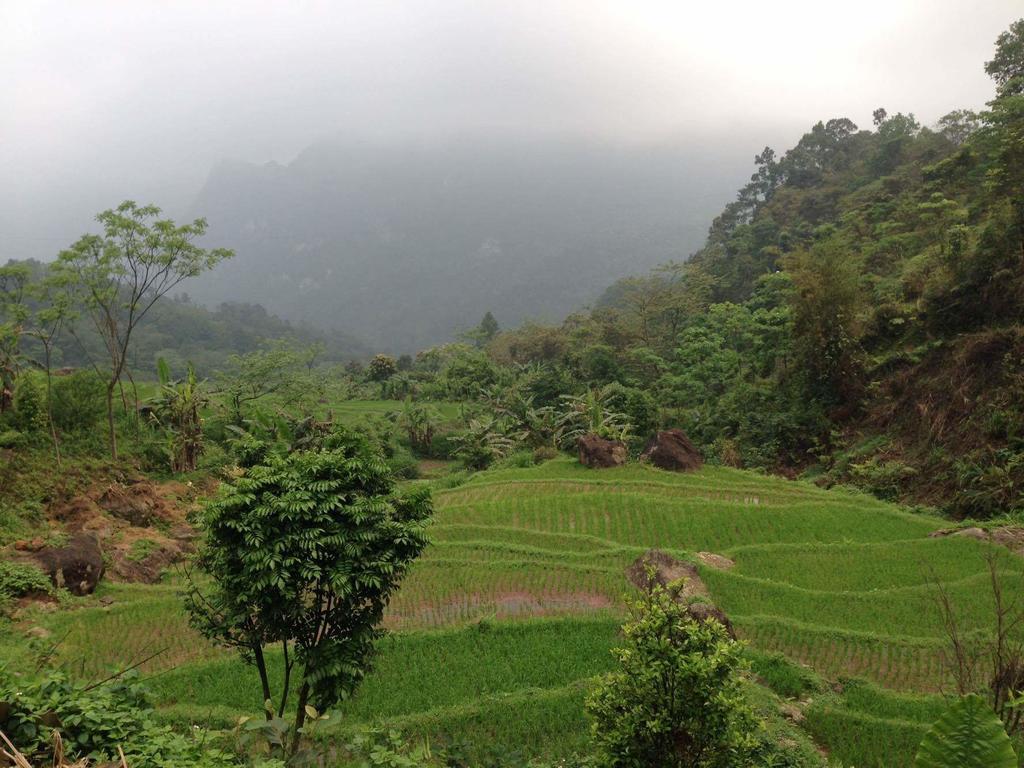 Linh Soi Homestay Mai Chau Eksteriør billede